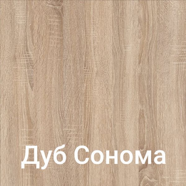 Шафа розпашна FLASHNIKA HOLD №47 Дуб Сонома 17402-3 фото