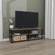 Тумба ТВ ЛОФТ FLASHNIKA ТВЛ-1 800x400x450 Дуб Венге/9005 бархат мат 15302 фото 1