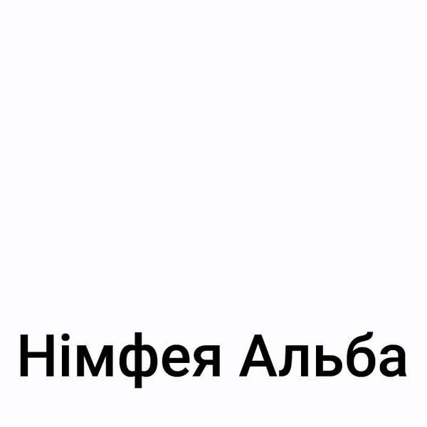 Тумба приставна FLASHNIKA Simpl Т-1 Німфея Альба 14500-8 фото